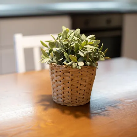 Lambertesca Loft By Mmega Апартаменты *