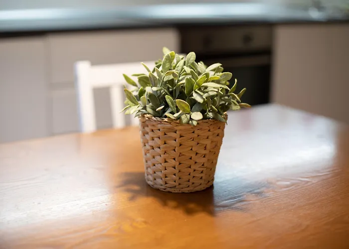 Lambertesca Loft By Mmega Apartamento *