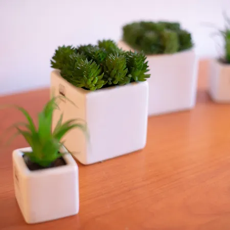 Lambertesca Loft By Mmega Florence